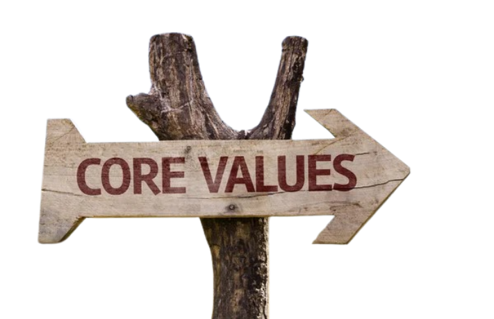 ShahaneTech Core Values