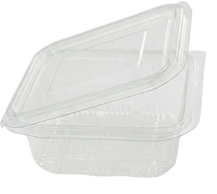 Clear Hinged Rectangular Container